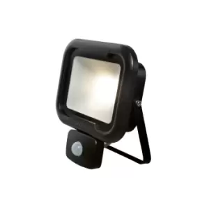 Robus Remy Black 20W LED Flood Light With PIR & Junction Box - Cool White
