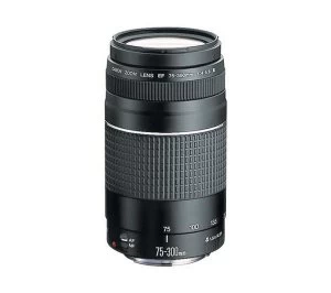 Canon EF 75-300 mm f-4.0-5.6 III USM Telephoto Zoom Lens