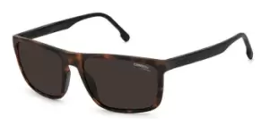 Carrera Sunglasses 8047/S Asian Fit N9P/70