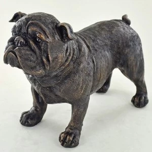 Bronze Bulldog Cold Cast Bronze Sculpture
