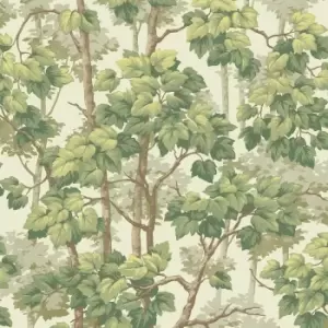 Belgravia Decor Belgravia Decor Rivington Tree Wallpaper Cream