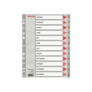 Esselte 100114 A4 Plastic Dividers Grey with 12 Monthly Tabs (11 holes)