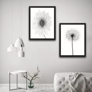 All White Flower Set Multicolor Decorative Framed Painting (2 Pieces)