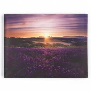 Graham and Brown Lavender Sunset Wall Art