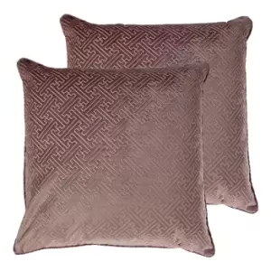 Florence Twin Pack Polyester Filled Cushions