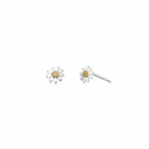 Daisy London Jewellery 925 Sterling Silver and 18ct Gold Plate Marguerite Daisy Stud Earrings