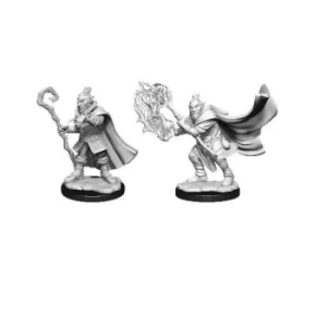 Critical Role Unpainted Miniatures (W1) Hobgoblin Wizard and Druid Male