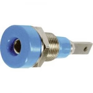 Jack socket Socket vertical vertical Pin diameter 2mm Blue St