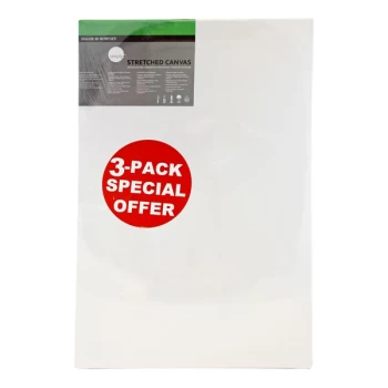 Daler Rowney Simply Canvas Pack of 3 - 50 x 70cm / 20 x 28"