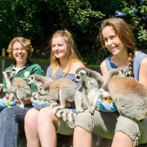 Animal Encounter at Flamingo Land Theme Park and Zoo for One