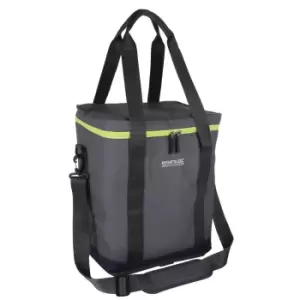 Regatta Glacio 20L Cooler Bag (One Size) (Lead Grey)