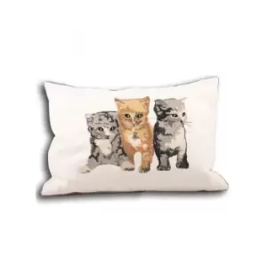 Kitty Embroidered Piped Cushion Cover, Cream, 35 x 50 Cm - Paoletti