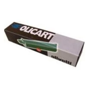 Olivetti B0795 Fuser Unit