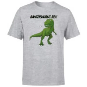 Bantersaurus Rex Mens T-Shirt - Grey - 3XL
