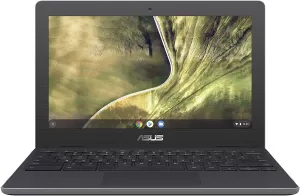 Asus Chromebook C204 11.6" Laptop