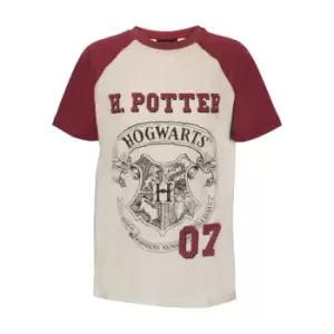 Harry Potter Childrens/Kids Hogwarts T-Shirt (5-6 Years) (Oatmeal Marl)