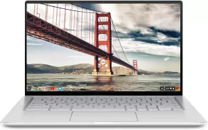 Asus Chromebook C425 14" Laptop