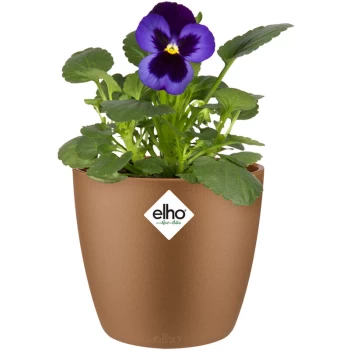 Elho - Flower Pot Brussels Round Planter Plant Window Box Indoor Outdoor Plastic samtgold/0,8 Liter (de)
