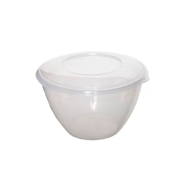 Whitefurze Pudding Bowl with Lid, 2.0L, Clear