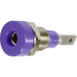 Jack socket Socket vertical vertical Pin diameter 2mm Violet
