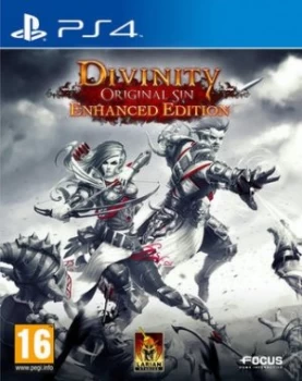 Divinity Original Sin PS4 Game