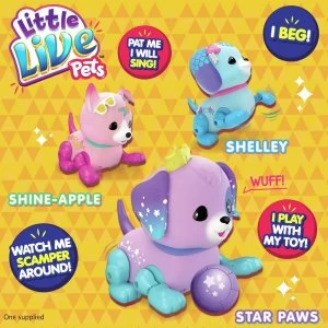 Little Live Pets Lil Precious Pups Single Pack