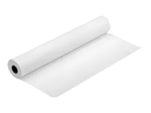 Epson Proofing Paper - Resin coated semimatte proofing paper - A1 Roll