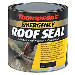 Thompsons Emergency Roof Seal - Black 1L