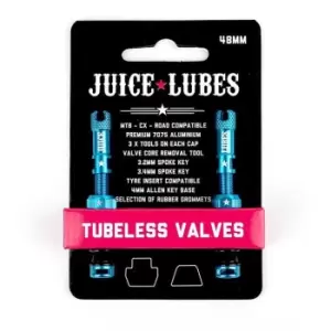Juice Lubes Tubeless Valves, 48mm, Teal - Green