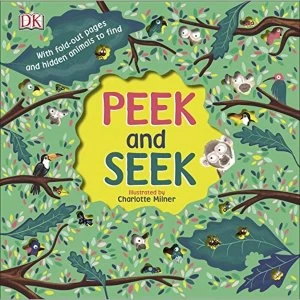 Peek and Seek Board book 2018