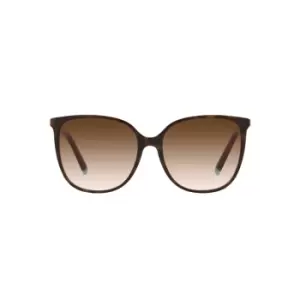 Tiffany & Co TF4184 Sunglasses