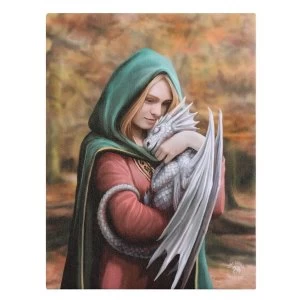 Safe Haven Canvas by Anne Stokes