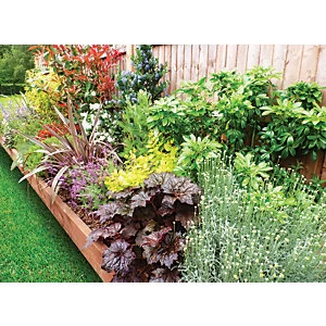 Garden On A Roll Mixed Sunny Border Pack 7m x 90cm Plants - wilko