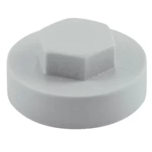 Colour Match Hexagon Screw Cover Cap 5/16" x 16mm Goosewing Grey Pack of 1000