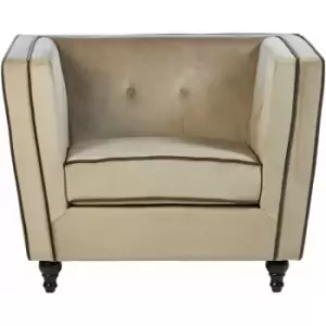 Ferris Mink Velvet Chair - Premier Housewares