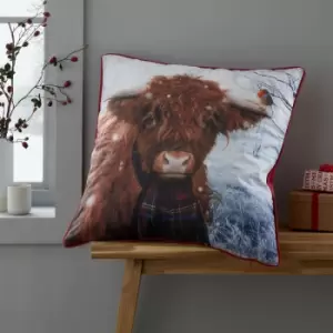 Catherine Lansfield Highland Cow Piped Edge Filled Cushion, Multi, 55 x 55 Cm