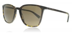 Dolce & Gabbana DG4301 Sunglasses Havana 502 / 73 53mm