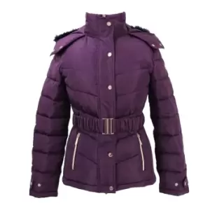 Coldstream Womens/Ladies Cornhill Quilted Coat (L) (Purple)