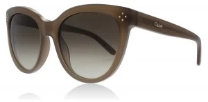 Chloe Boxwood Sunglasses Turtledove 272 55mm