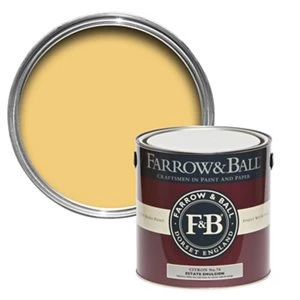 Farrow & Ball Estate Citron No. 74 Matt Emulsion Paint 2.5L