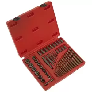 AK8149 Master Extractor Set 49pc - Sealey