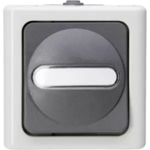 Kopp 560856002 1 Piece Wet room switch product range Complete Switch BlueElectric Grey