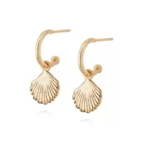 Daisy London Jewellery 18ct Gold Plated Sterling Silver Isla Shell Drop Earrings 18Ct Gold Plate