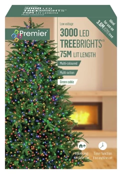 Premier 3000 Multi-function Christmas LED Lights - 5m