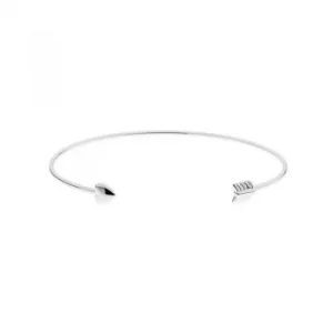 Ted Baker Ladies PVD Silver Plated Bangle
