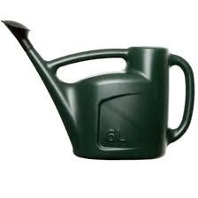Whitefurze Watering Can, 6L, Green