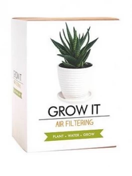 Gift Republic Air Filtering Grow Your Own Plant