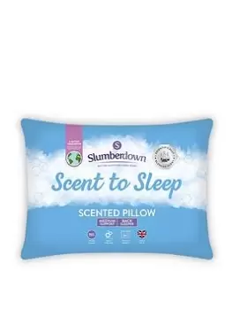 Slumberdown Slumberdown Scent To Sleep Scented Pillow
