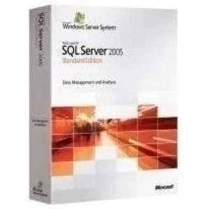 Microsoft SQL Server Standard Edition 1 License