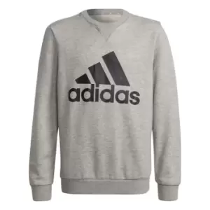 adidas Essential Sweater Juniors - Grey